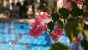 sochi_iskra_mvd_bassein_06