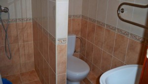 izumrudniy_mvd_nomer_standart_4