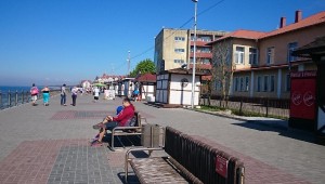 зеленоградск город1