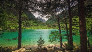 Санаторий Теберда природа6